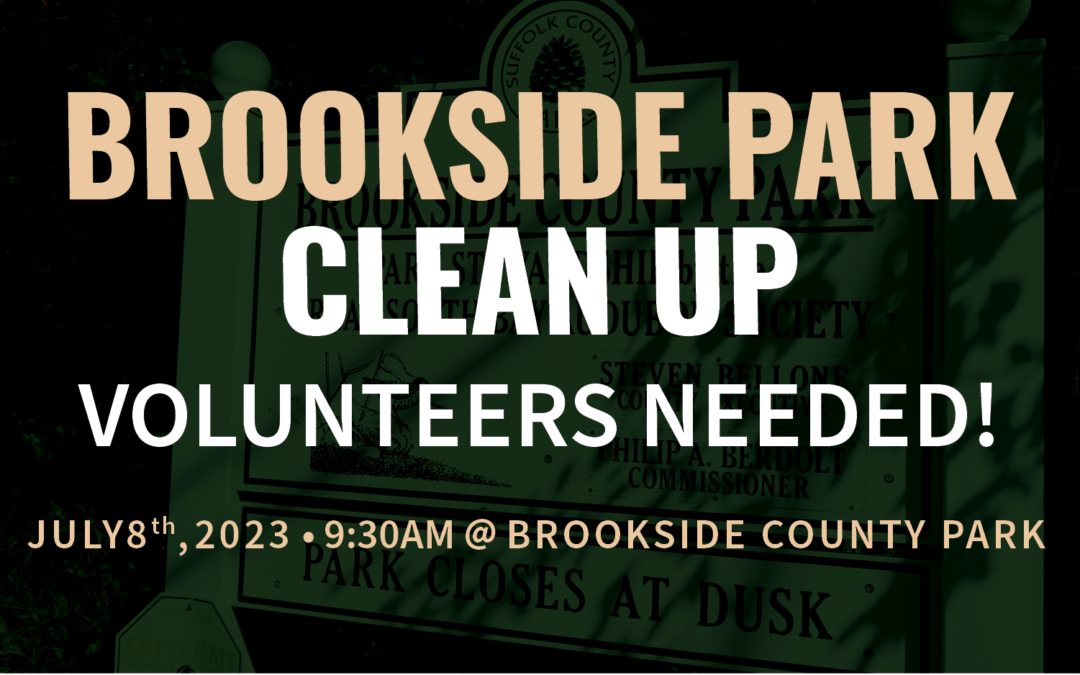 Brookside Park Cleanup